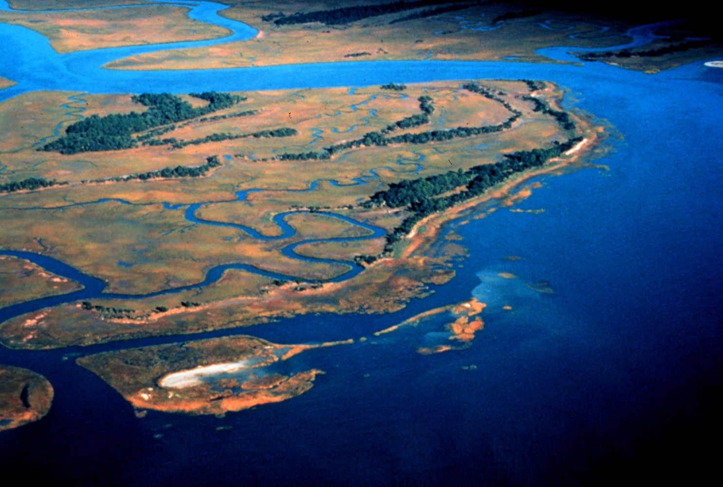 ACE Basin National Estuarine Research Reserve. An aerial view of Pine Island