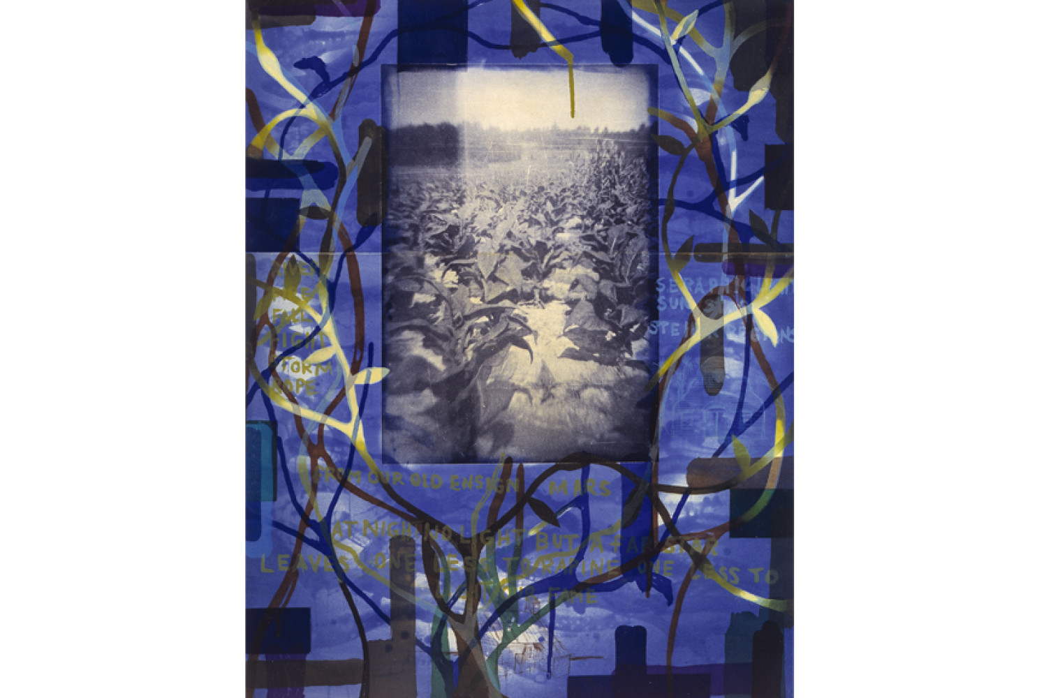 Tobacco Blues, 2000, by Radcliffe Bailey (American, b. 1968); color aquatint etching with photogravure and chine-colle on paper; 42 x 33 inches; Museum purchase; 2001.017