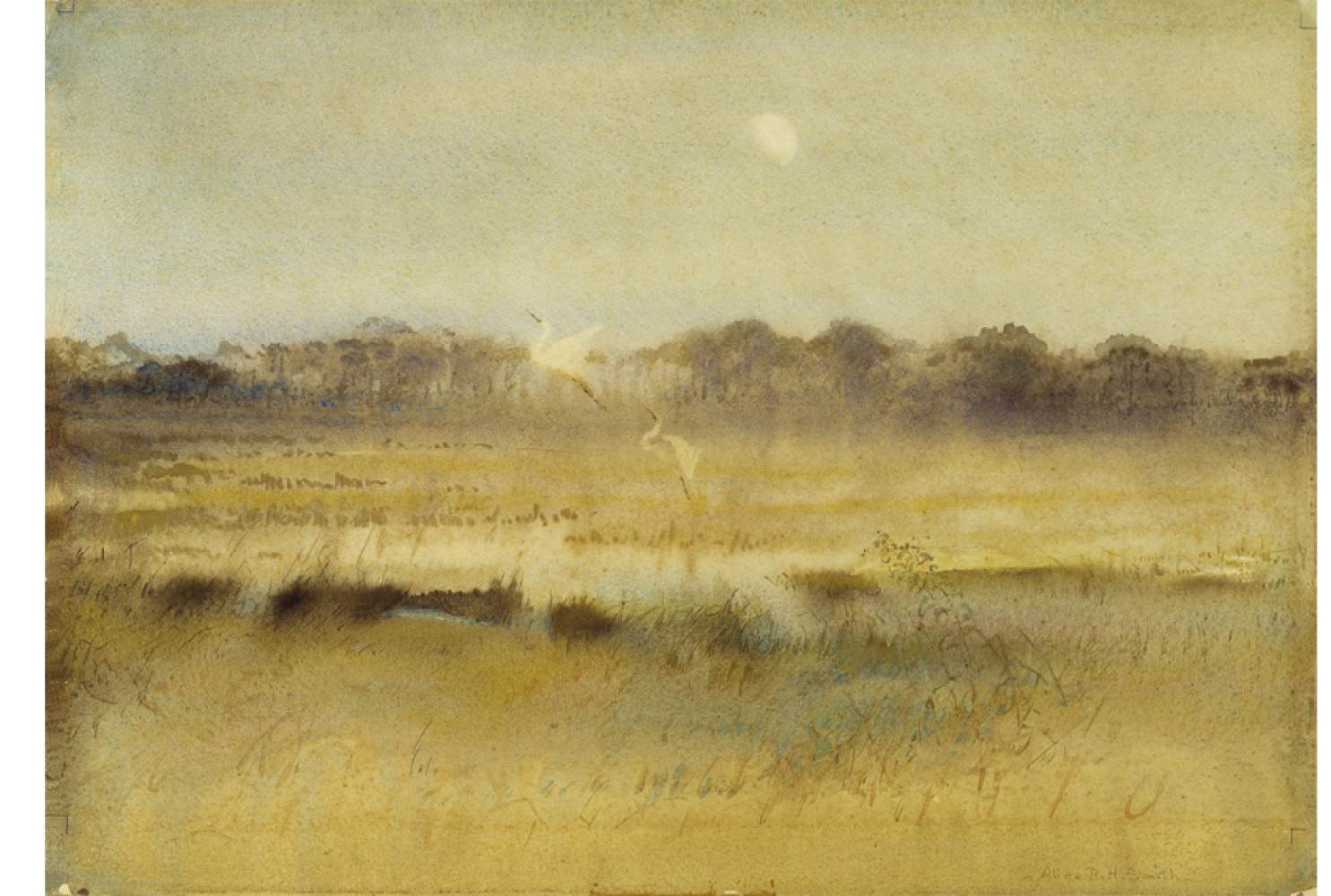 A Salt Creek from the series A Carolina Rice Plantation of the Fifties, ca. 1935, By Alice Ravenel Huger Smith (American, 1876—1958); Watercolor on paper; Gift of the artist; 1937.009.0029
