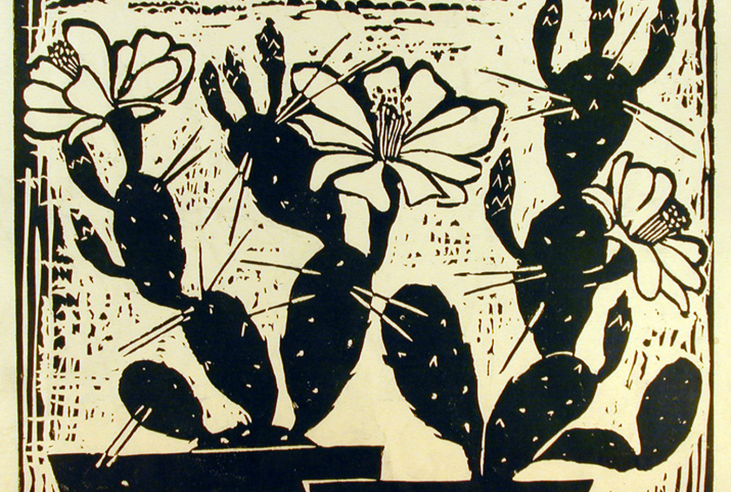 Cactus, By Corrie McCallum (American, 1914–2009); Woodblock print on paper; 11 x 17 inches; Bequest of Josephine Pinckney
