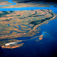 ACE Basin National Estuarine Research Reserve. An aerial view of Pine Island