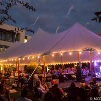 Garden Concerts at the Gibbes. Photo by MCG Photography.