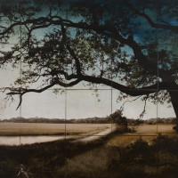 Botany Bay Plantation Boardwalk, 2009, by John Folsom (American, b. 1967); archival pigment print on board with oil and wax; Gift of Retta Ruth Rein, 2010.004