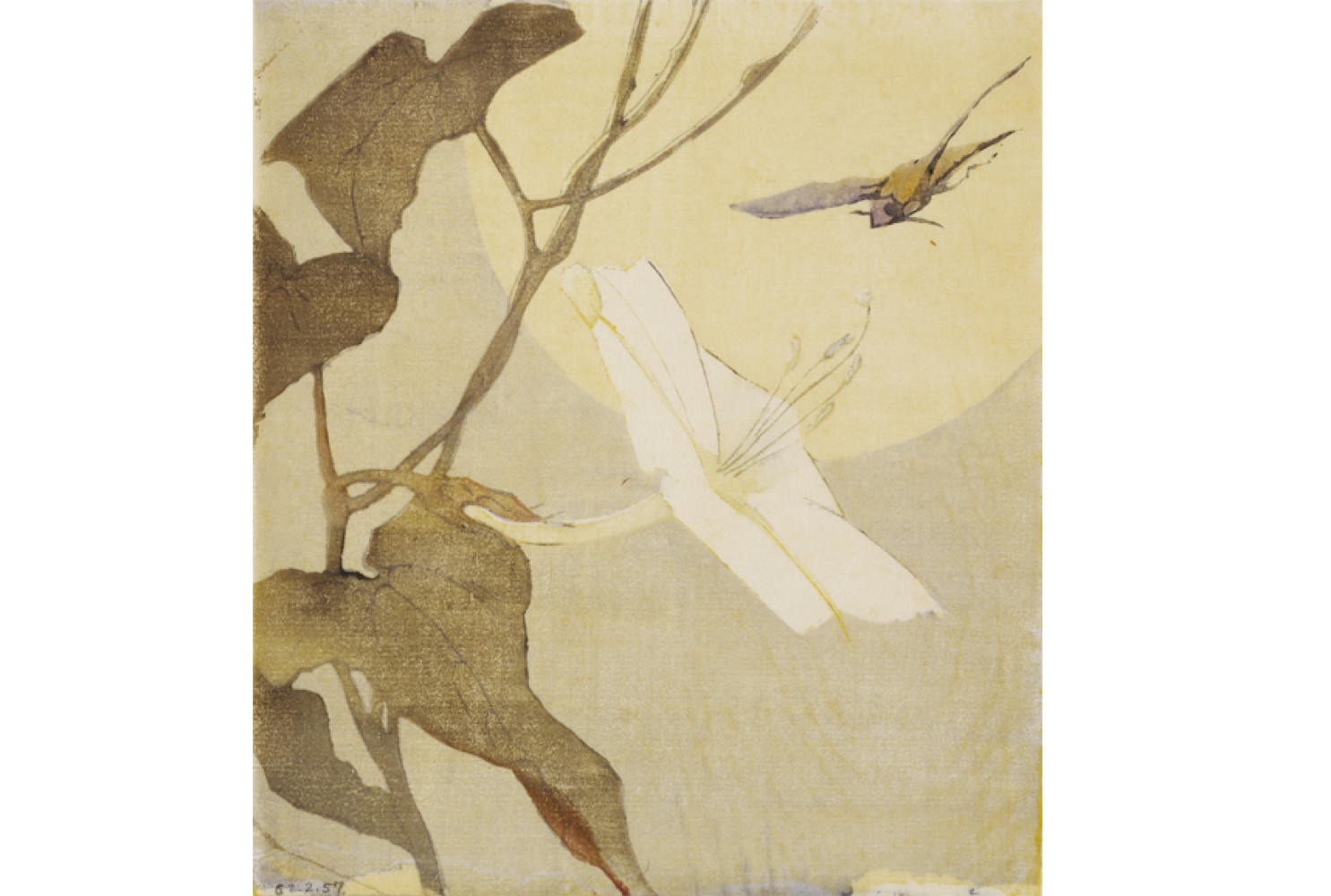 Moon-Flower and Hawk Moth, Charleston, ca. 1918, By Alice Ravenel Huger Smith (American, 1876—1958); Woodblock print on paper; Gift of Mrs. W. E. Simms; 1962.002.0057