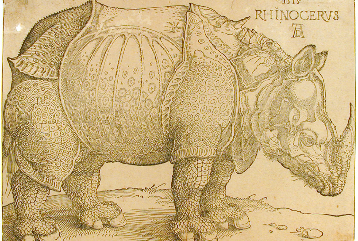 Rhinoceros, 1515, By Albrecht Dürer (German, 1471—1528); Wood engraving on paper; 8 1/2  x 11 3/4 inches; Gift of Wilfred W. Ballard; 1966.005.0015