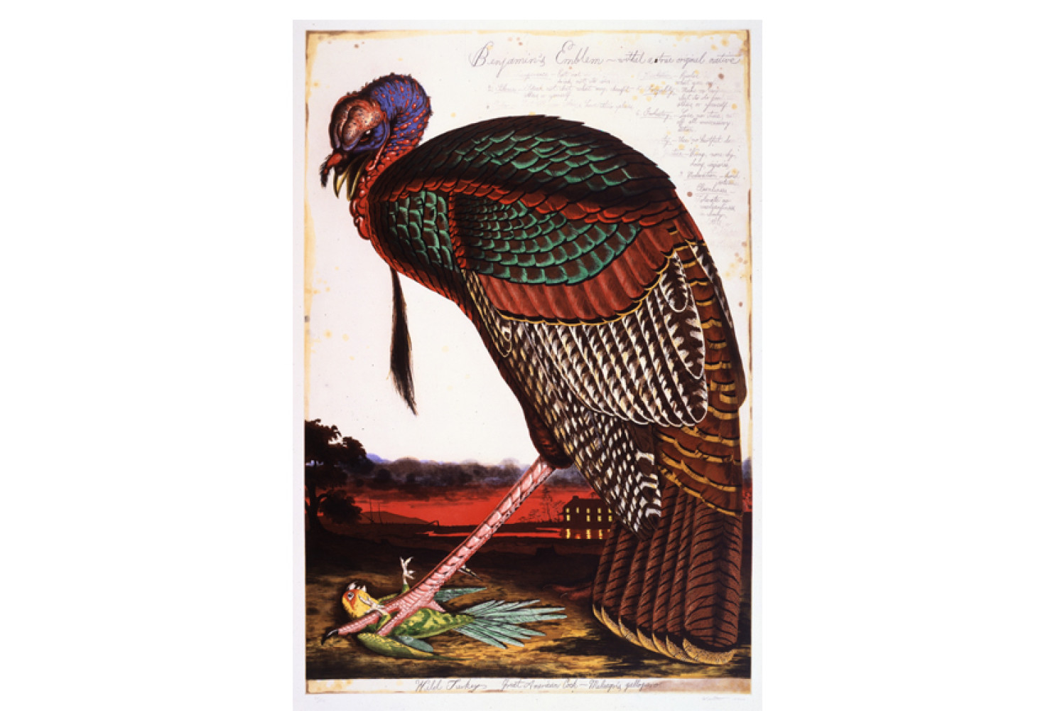 Benjamin's Emblem, 2000, By Walton Ford (American, b. 1960), Color etching, aquatint, spit-bite, and drypoint on paper. On loan courtesy of a private collection. 
