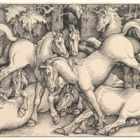 Wild Horses in the Forest, 1534; By Hans Baldung Grien (German, 1475-1545); Woodcut, 8 5/8 x 12 7/8; Courtesy of a private collection
