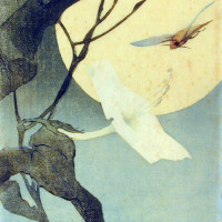Moon Flower and Hawk Moth, ca. 1918, By Alive Ravenel Huger Smith; Woodblock print; 9 x 8 inches; Gift of the artist; 1955.006.0004