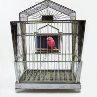 Troy Abbott (United States, b. 1967), Jewel, 2014. Vintage birdcage, circuit board and video screen. 17 x 12 x 7 1/2 inches. Gift of 2016 Blacktail Gala, with additional funds provided by Friends of the National Museum of Wildlife Art. © Troy Abbott. M2016.007
