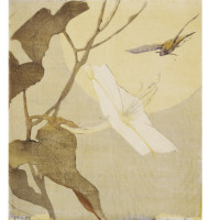 Moon-Flower and Hawk Moth, Charleston, ca. 1918, By Alice Ravenel Huger Smith (American, 1876—1958); Woodblock print on paper; Gift of Mrs. W. E. Simms; 1962.002.0057