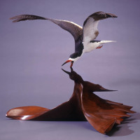 Black Skimmer, 1983, By Grainger McKoy (American, b. 1947), Basswood, walnut, polychrome and oil. On loan courtesy of The Rivers Collection. Image courtesy of the artist.
