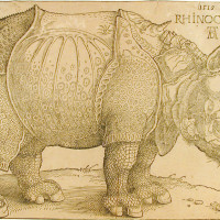 Rhinoceros, 1515, By Albrecht Dürer (German, 1471—1528); Wood engraving on paper; 8 1/2  x 11 3/4 inches; Gift of Wilfred W. Ballard; 1966.005.0015