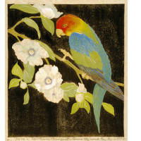 Carolina Paroquet, 1935, By Anna Heyward Taylor (American, 1879—1956); Woodblock print on paper; 11 x 9 1/2 inches; Gift of Anna Heyward Taylor; 1937.003.0005

