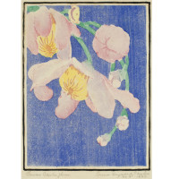 Grias Cauliflora, 1924, By Anna Heyward Taylor (American, 1879—1956); Color woodblock print on paper; 10 7/8 x 7 1/2 inches; Gift of the Artist; 1953.007.0031 
