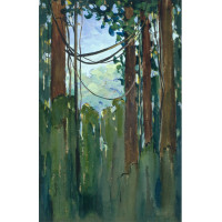 untitled (Guiana Jungle), 1921, By Anna Heyward Taylor (American, 1879—1956); Watercolor and gouache on paper; 22 3/4 x 14 3/4 inches; Gift of Anna Heyward Taylor; 1946.007.0008 
