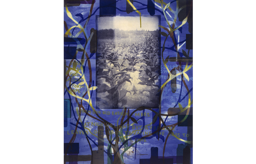 <i>Tobacco Blues</i>, 2000, by Radcliffe Bailey (American, b. 1968); color aquatint etching with photogravure and chine-colle on paper; 42 x 33 inches; Museum purchase; 2001.017