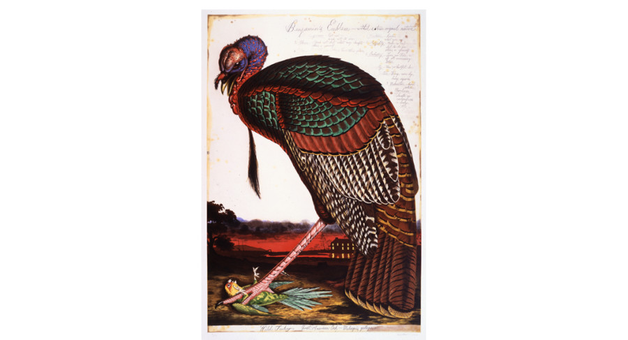 <i>Benjamin's Emblem</i>, 2000, By Walton Ford (American, b. 1960), Color etching, aquatint, spit-bite, and drypoint on paper. On loan courtesy of a private collection. 
