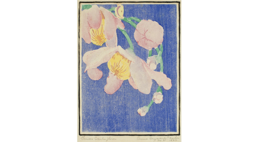<i>Grias Cauliflora</i>, 1924, By Anna Heyward Taylor (American, 1879—1956); Color woodblock print on paper; 10 7/8 x 7 1/2 inches; Gift of the Artist; 1953.007.0031 
