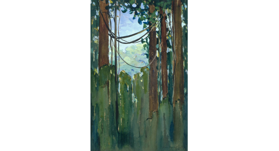 <i>untitled (Guiana Jungle)</i>, 1921, By Anna Heyward Taylor (American, 1879—1956); Watercolor and gouache on paper; 22 3/4 x 14 3/4 inches; Gift of Anna Heyward Taylor; 1946.007.0008 

