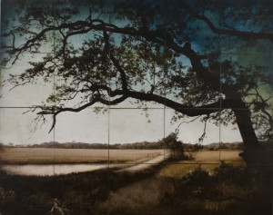 Botany Bay Plantation Boardwalk, 2009, by John Folsom (American, b. 1967)
