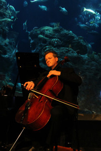 CMC cellist Timothy O'Malley