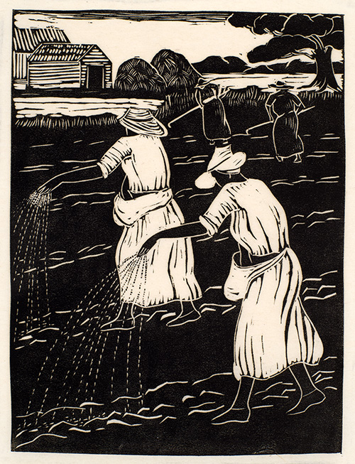 Sowing Rice by Anna Heyward Taylor