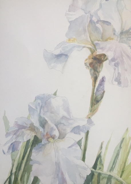  a watercolor demo of flowers by Peggy Ellis