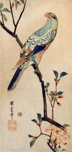 Green Parrot on Crab Apple Branch, ca. 1835, by Ichiryusai Hiroshige