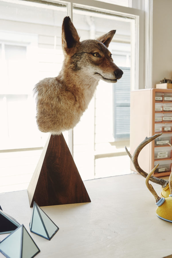 Coyote Bust, by Becca Barnet. Photo by Landon Neil Philips.