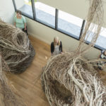 Becca, along with Curator of Exhibitions Pam Wall and Director of Programs & Digital Engagement Lasley Steever, explores her favorite piece currently on view, Betwixt & Between by Patrick Dougherty.