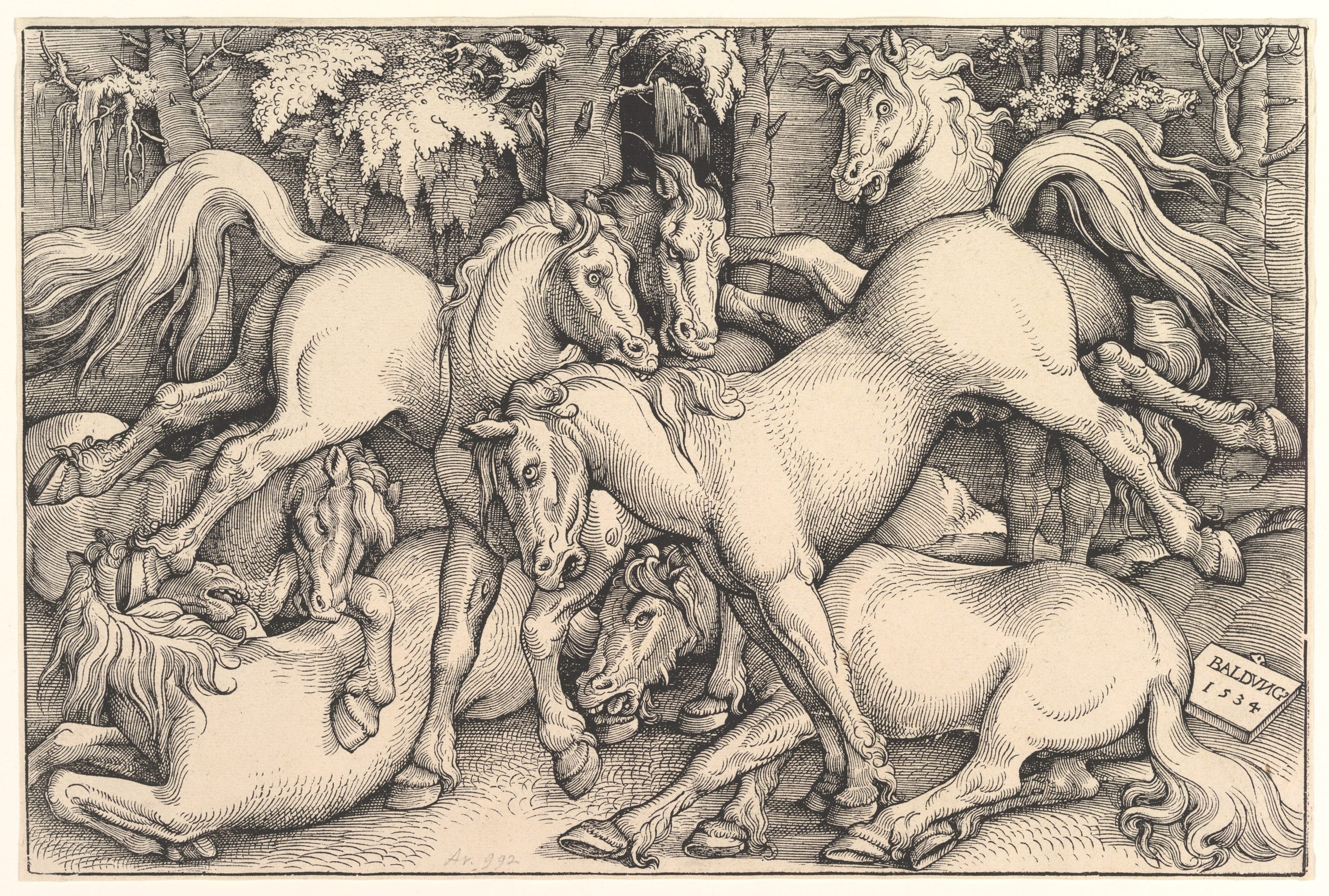Wild Horses in the Forest, 1534; By Hans Baldung Grien