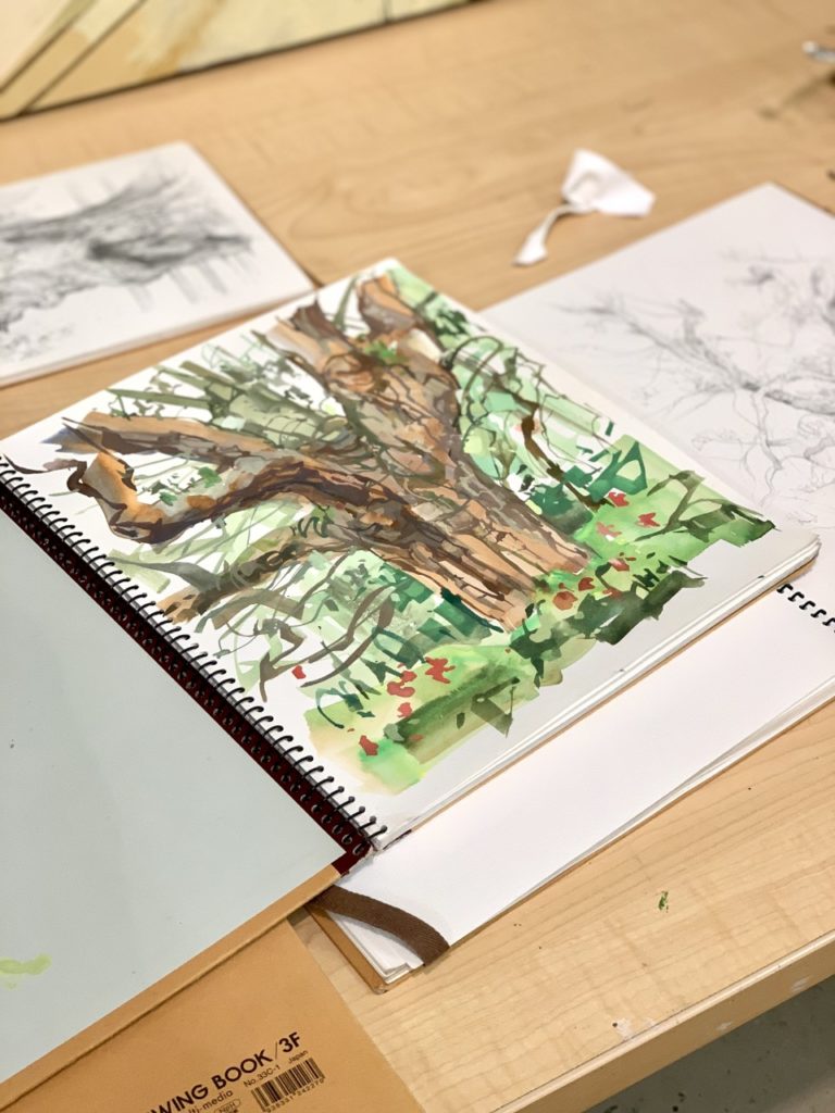 Sketchbook with oak tree