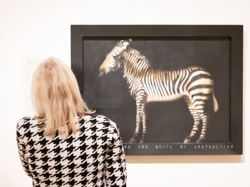 Woman looking at painting of zebra